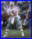 Dan-Marino-Miami-Dolphins-Signed-16-x-20-Vertical-Passing-Action-Photo-01-czkv
