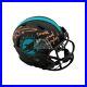 Ricky-Williams-Smoke-Weed-Everyday-Autographed-Dolphins-Eclipse-Mini-Helmet-BAS-01-ejx